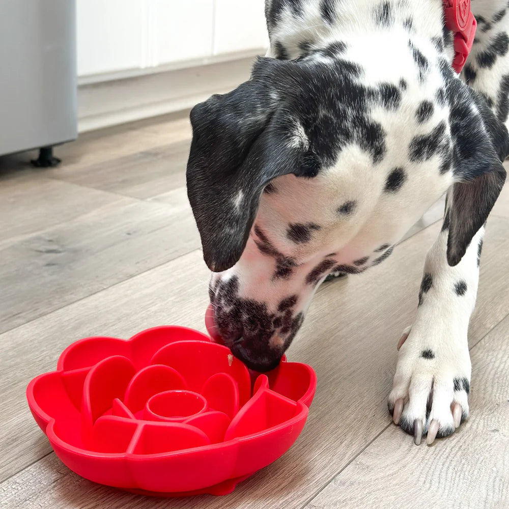 Slow Feeder Dog Bowl Flower Silicone
